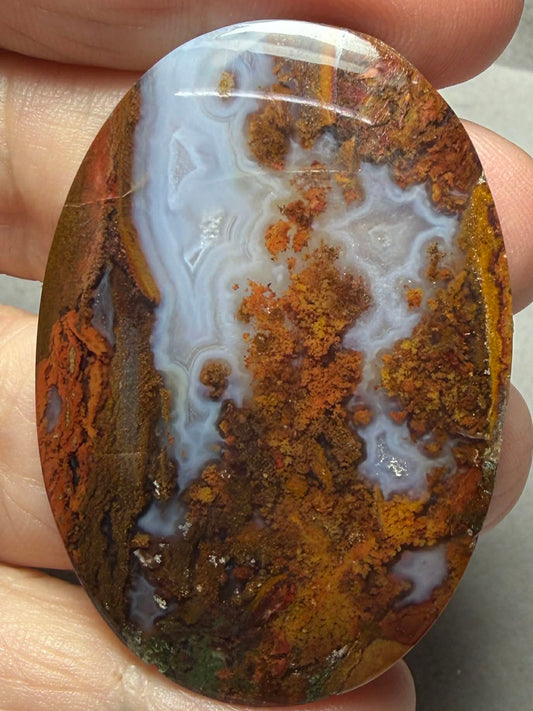 Oval 50x34mm Petrified Wood with Quartz Cabochon 20