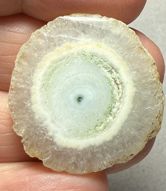 Freeform 30x29mm Natural Solar Quartz Slice 45