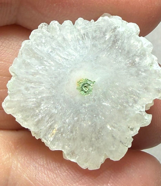 Freeform 23x23mm Natural Solar Quartz Slice 60