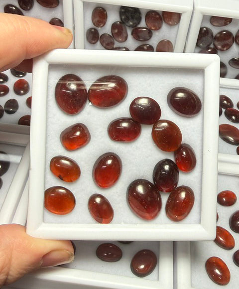 15x Mini Mixed Hessonite Garnet Cabochon Pack