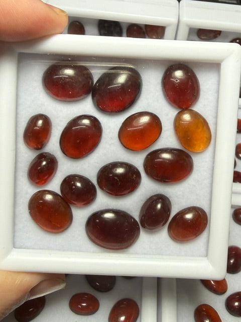 15x Mini Mixed Hessonite Garnet Cabochon Pack