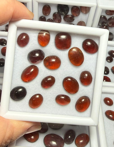 15x Mini Mixed Hessonite Garnet Cabochon Pack
