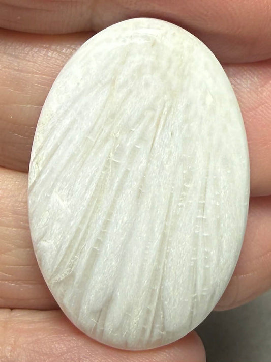 Oval 35x23mm White Scolecite Cabochon 24