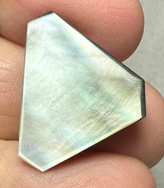 Freeform 20x21mm Black Mother of Pearl Cabochon 16