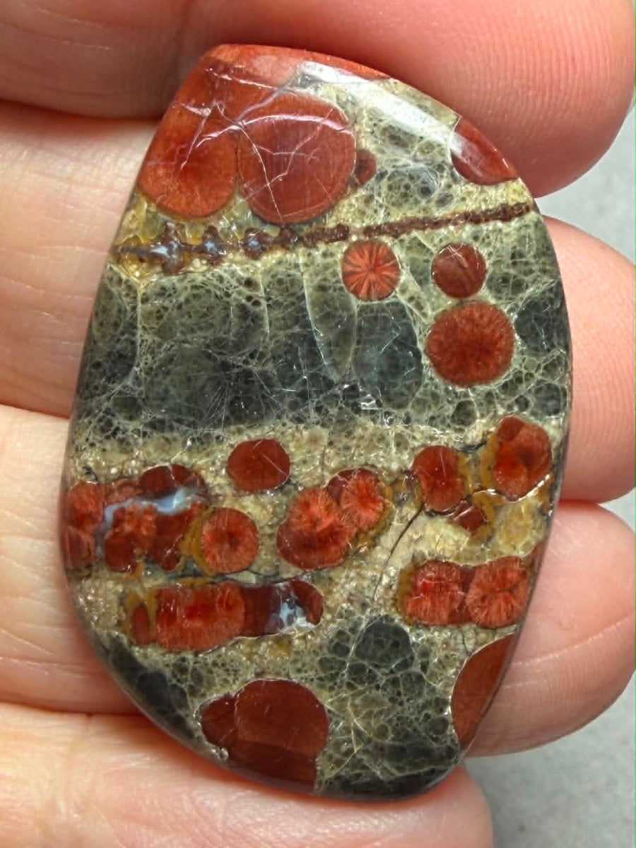 Freeform 39x26mm Peanut Obsidian Cabochon 29