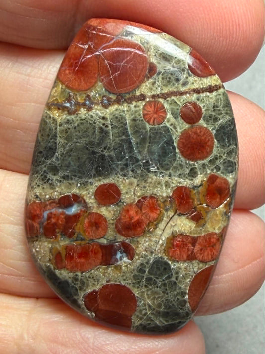 Freeform 39x26mm Peanut Obsidian Cabochon 29