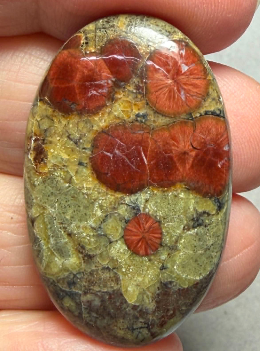 Oval 37x23mm Peanut Obsidian Cabochon 35
