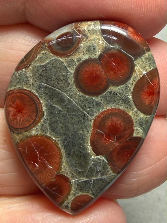 Freeform 33x23mm Peanut Obsidian Cabochon 36