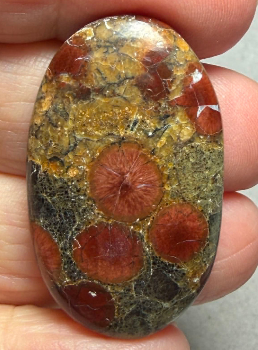 Oval 38x23mm Peanut Obsidian Cabochon 50