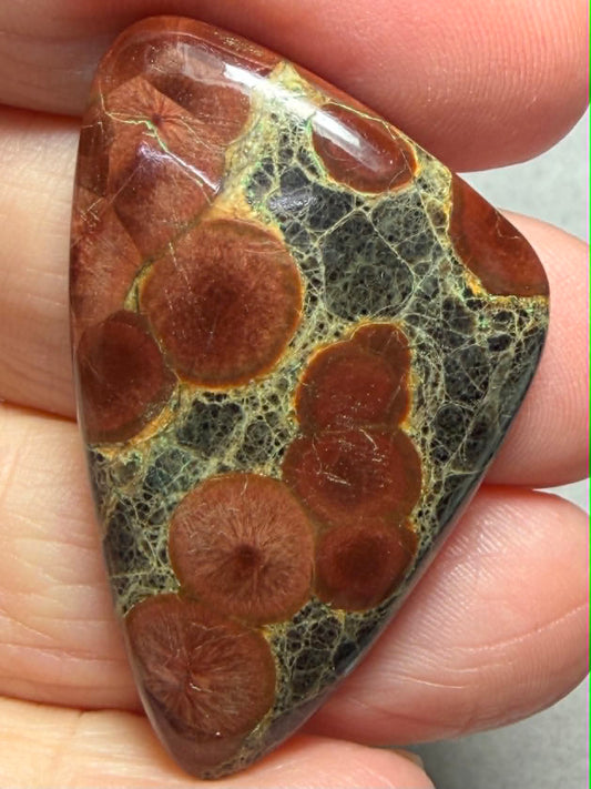 Freeform 43x27mm Peanut Obsidian Cabochon 52
