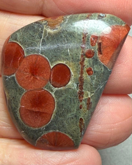Freeform 36x27mm Peanut Obsidian Cabochon 55