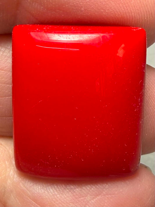 Rectangle 23x19mm Red Coral Cabochon 31