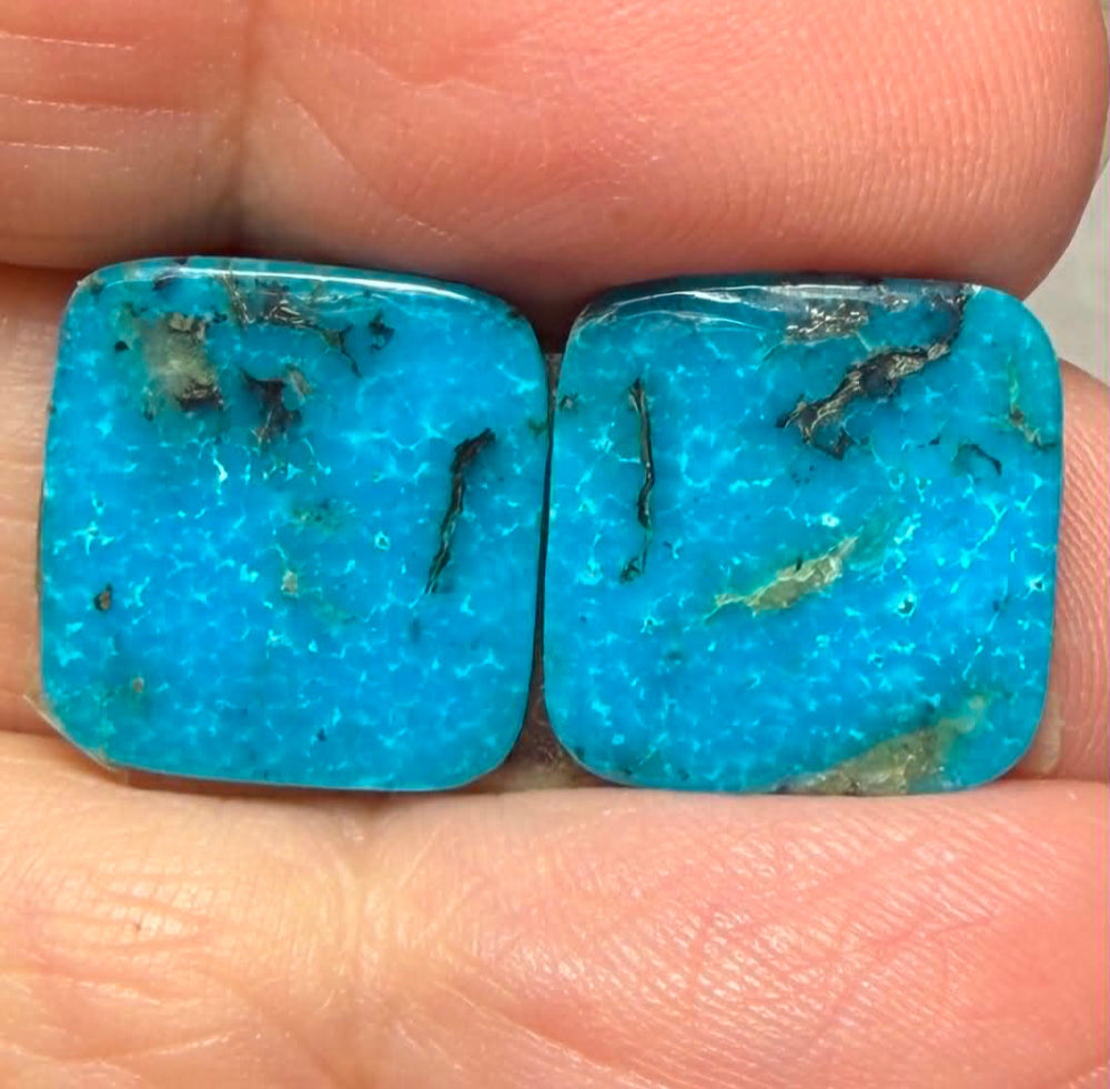Square 14x14mm Arizona Turquoise Cabochon Pair 10