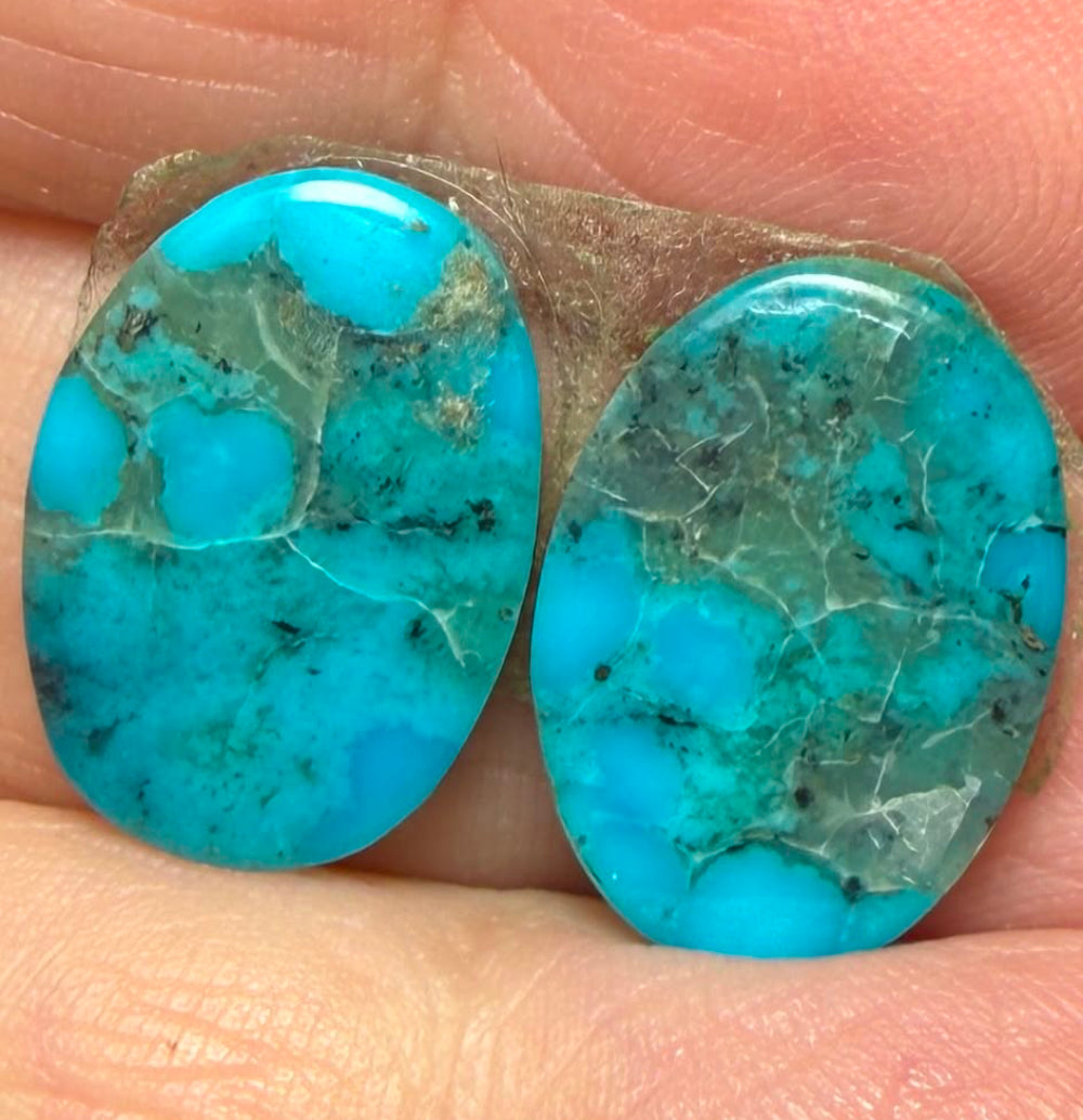 Oval 16x11mm Arizona Turquoise Cabochon Pair 21