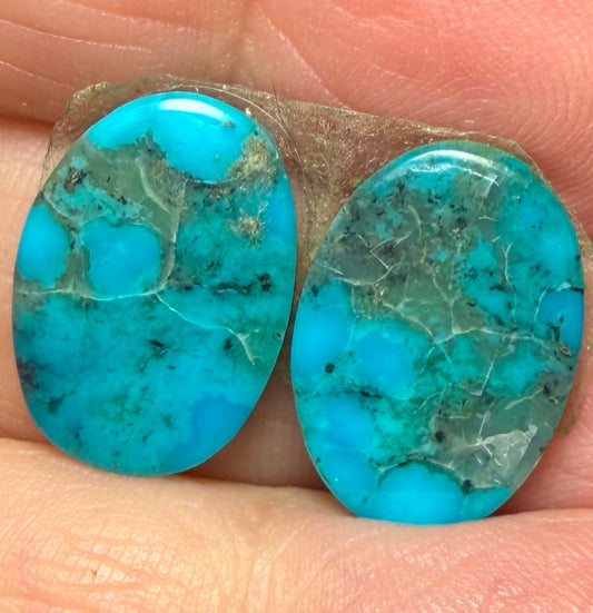 Oval 16x11mm Arizona Turquoise Cabochon Pair 21