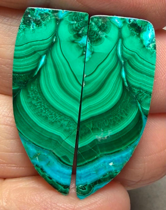 Freeform 31x11mm Malachite Chrysocolla Cabochon Pair 10