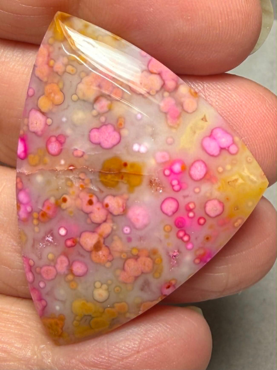 Freeform 43x32mm Coloured Ocean Jasper Cabochon 09