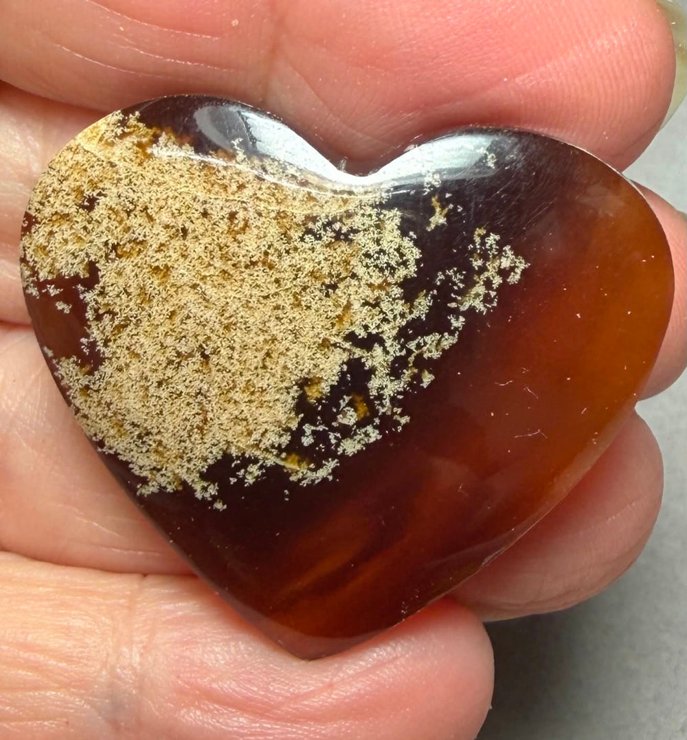 Heart 33x37mm Indonesian Red Amber Cabochon 23