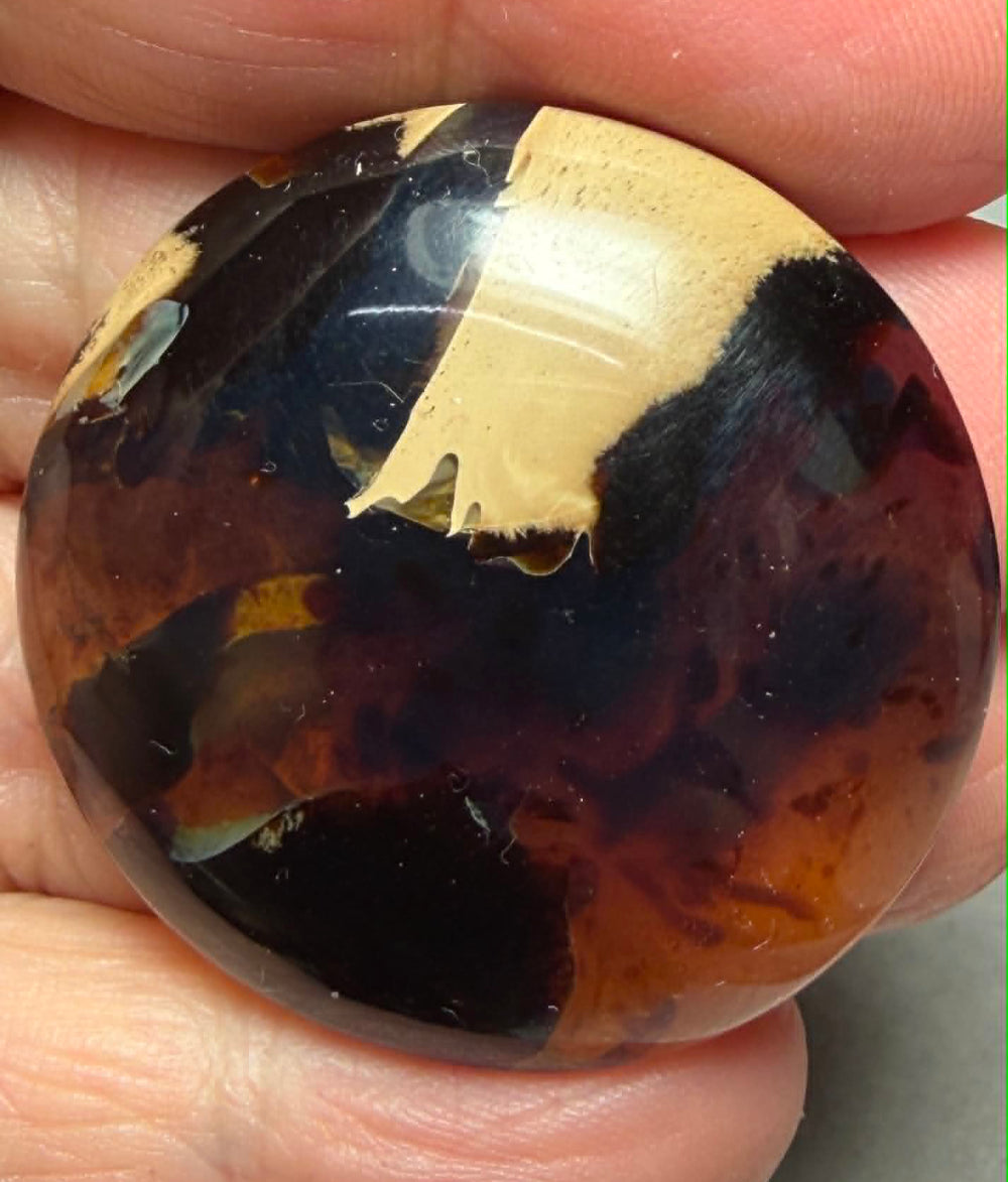 Round 36x36mm Indonesian Red Amber Cabochon 29