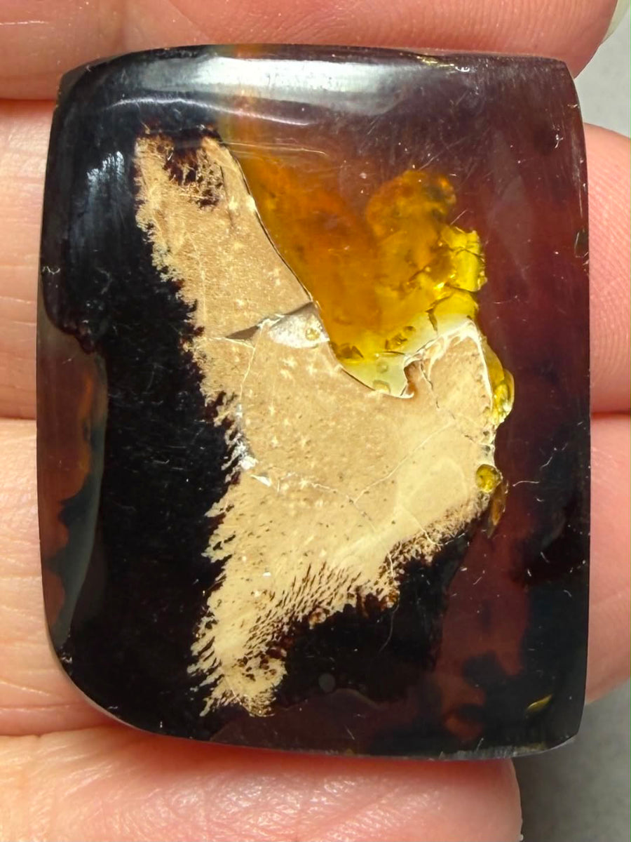 Freeform 31x24mm Indonesian Red Amber Cabochon 37
