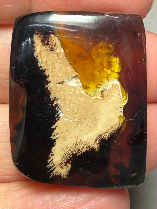 Freeform 31x24mm Indonesian Red Amber Cabochon 37