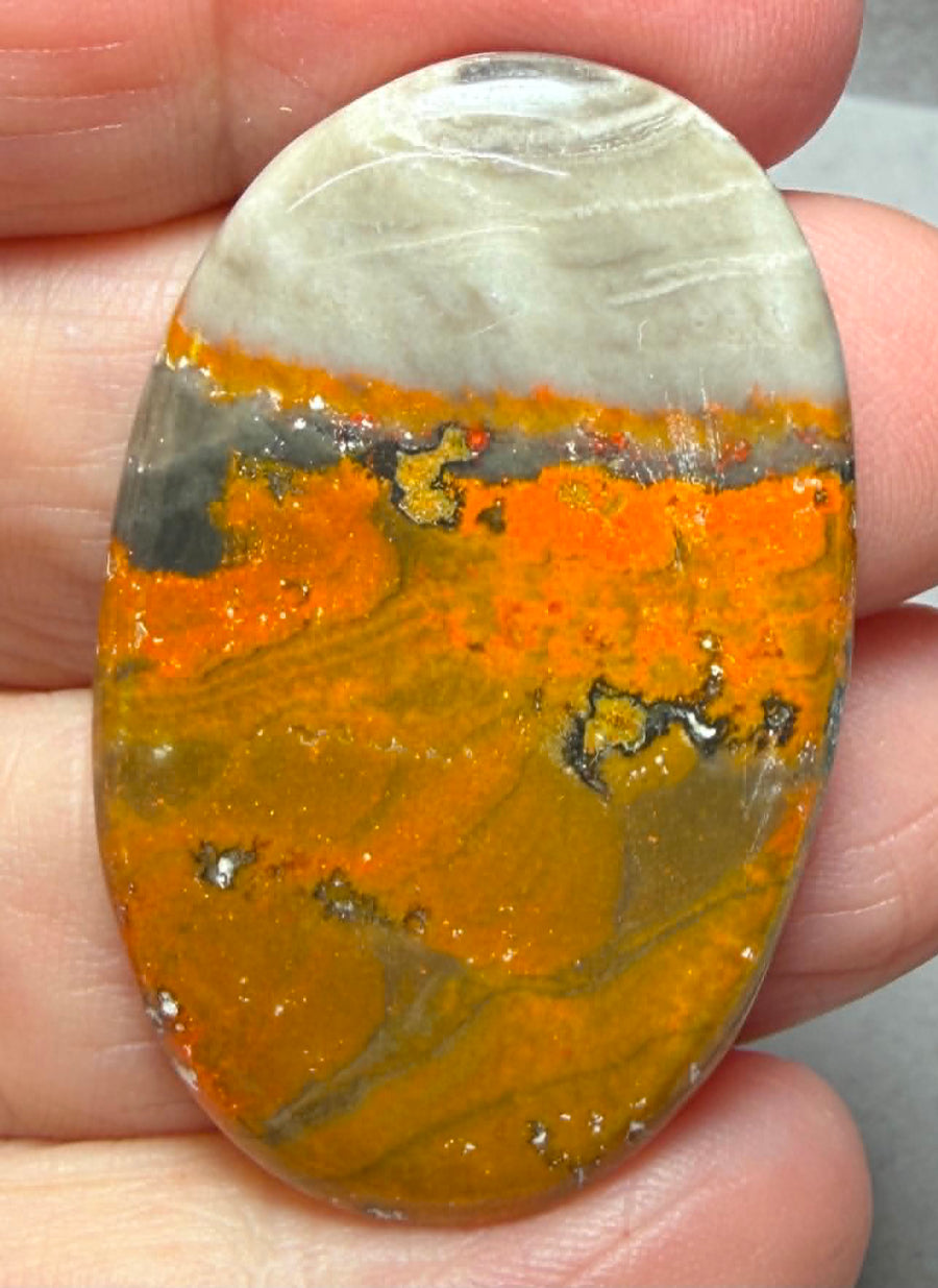 Oval 41x26mm Bumble Bee Jasper Cabochon 68