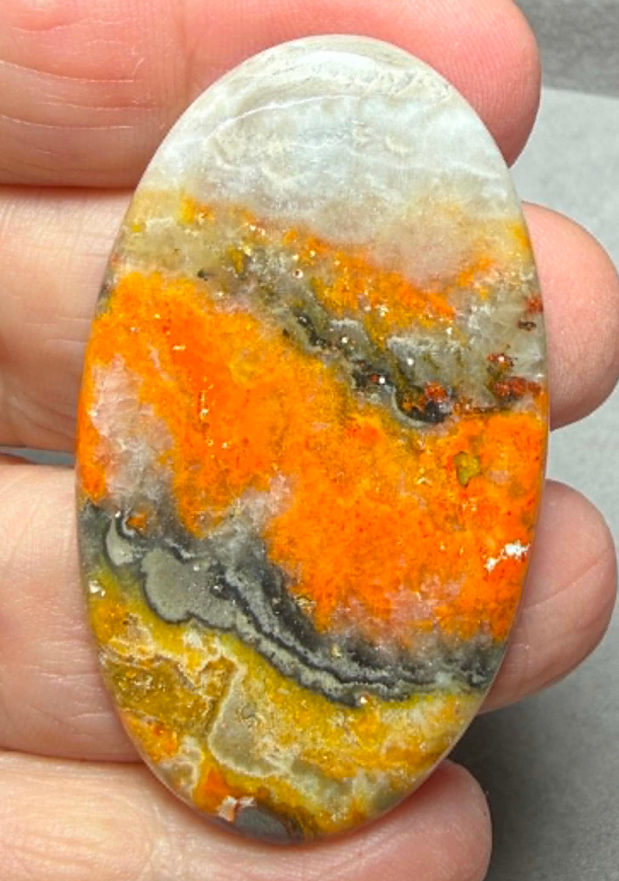 Oval 52x30mm Bumble Bee Jasper Cabochon 71