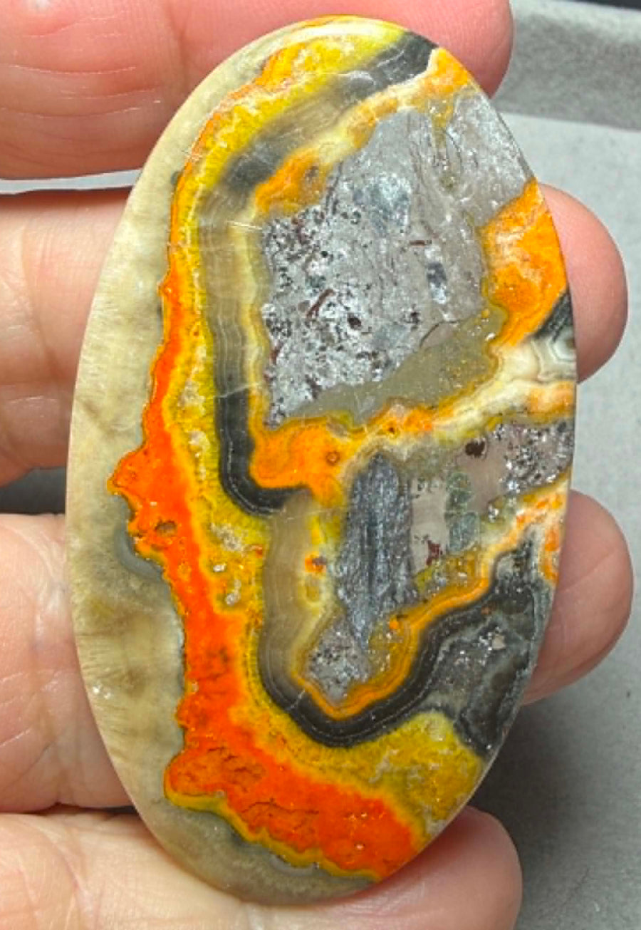 Oval 62x35mm Bumble Bee Jasper Cabochon 73