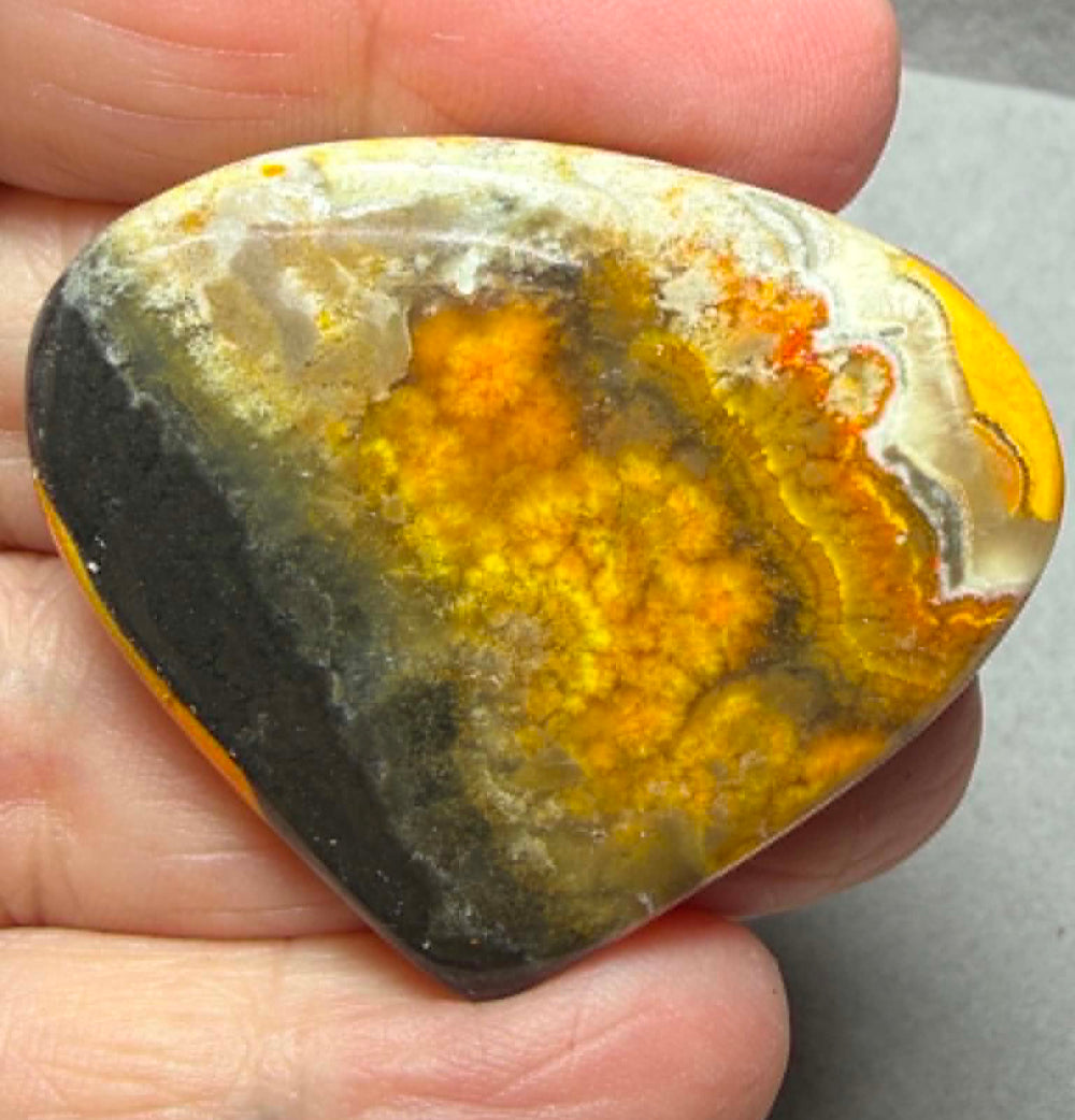 Teardrop 36x44mm Bumble Bee Jasper Cabochon 76