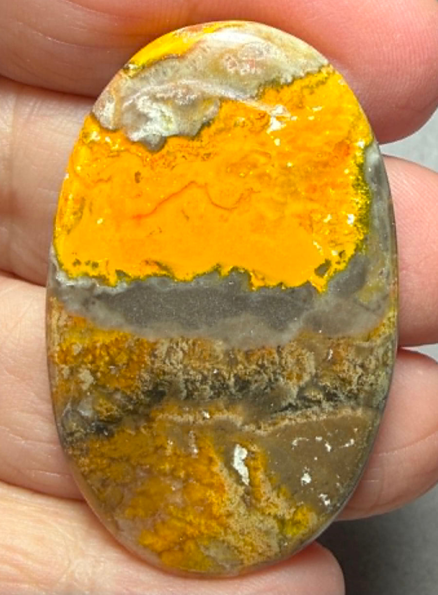 Oval 45x28mm Bumble Bee Jasper Cabochon 77