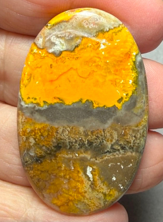 Oval 45x28mm Bumble Bee Jasper Cabochon 77
