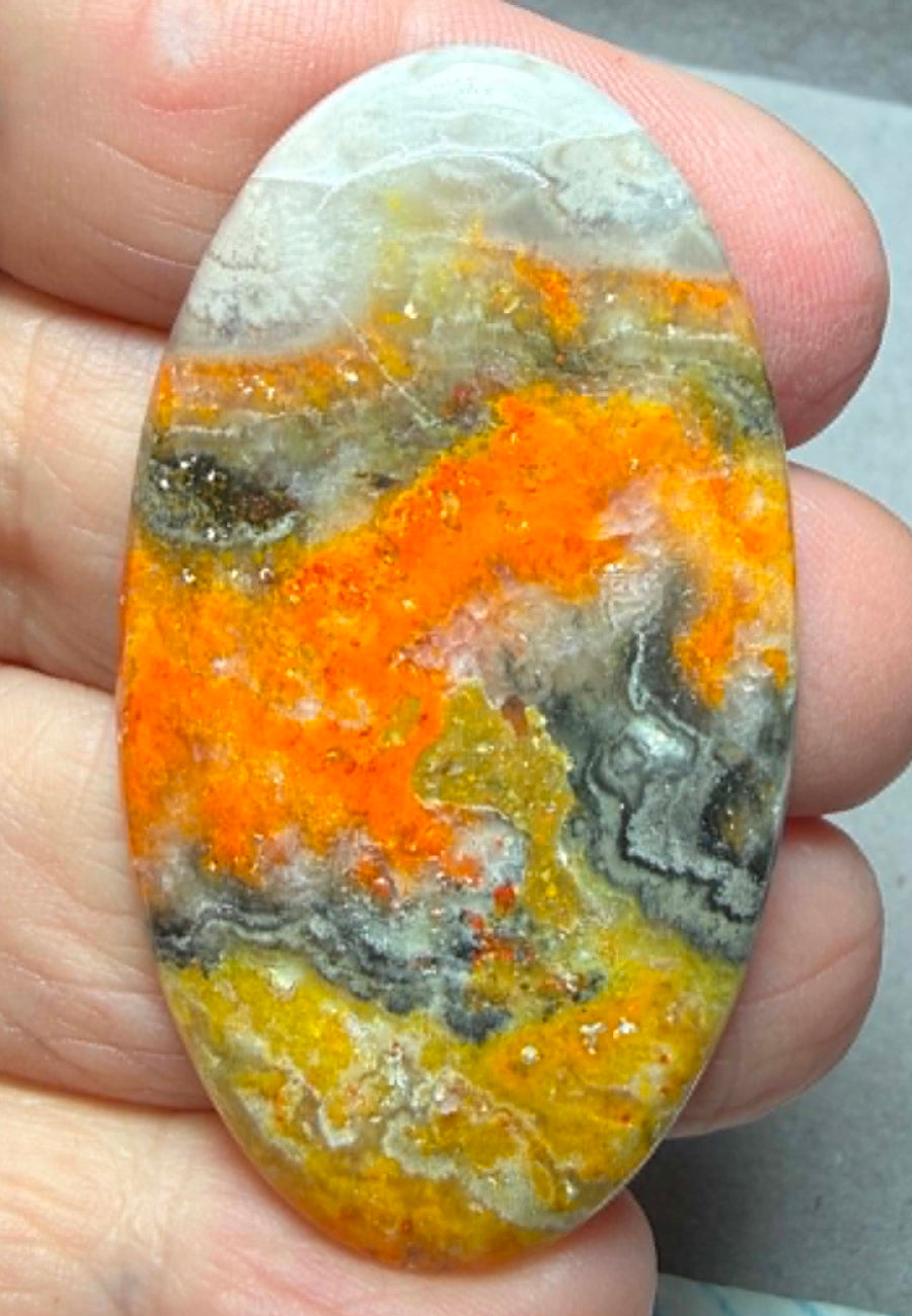 Oval 51x29mm Bumble Bee Jasper Cabochon 91