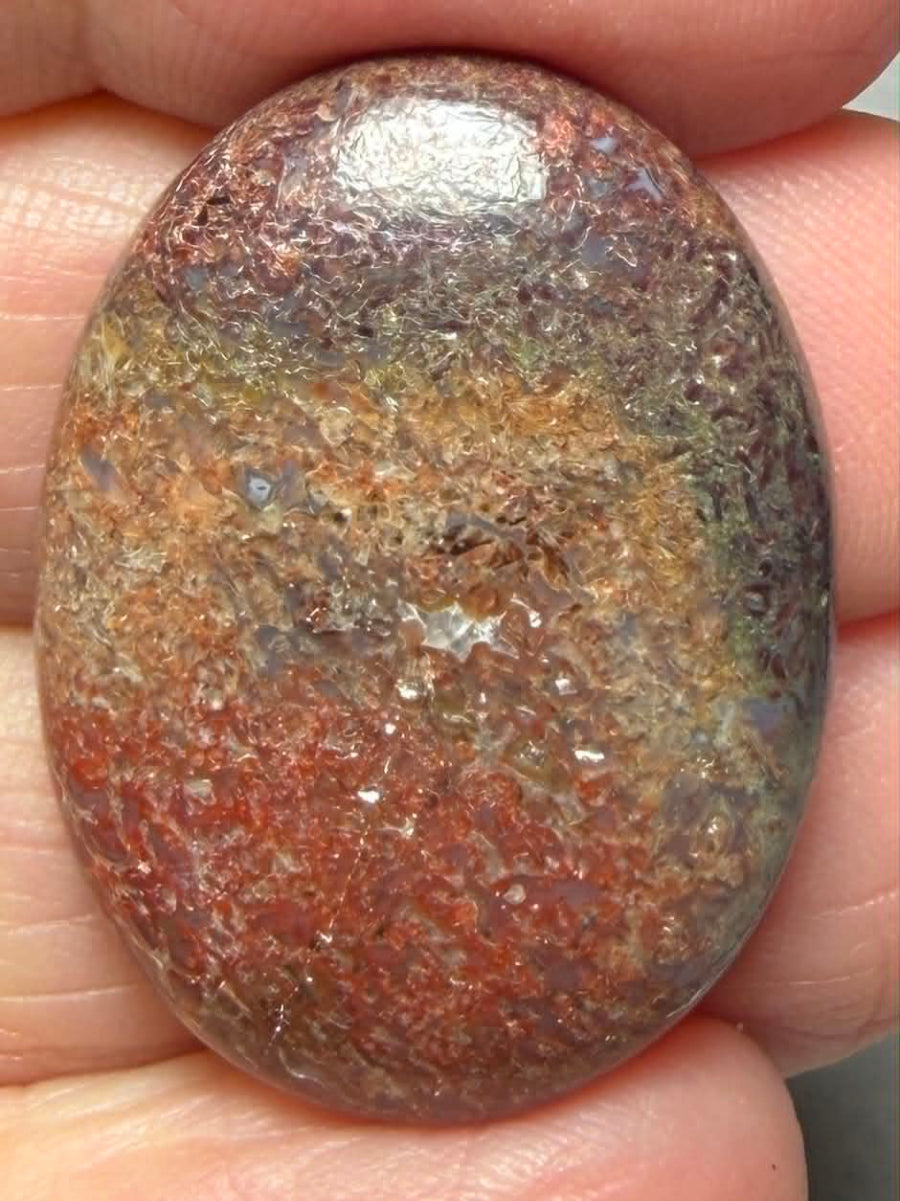 Oval 30x22mm Dinosaur Bone Cabochon 29
