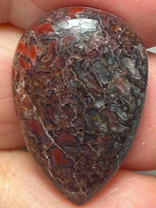 Teardrop 26x17mm Dinosaur Bone Cabochon 37