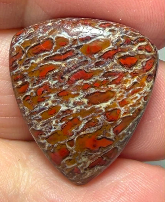 Teardrop 24x21mm Dinosaur Bone Cabochon 38
