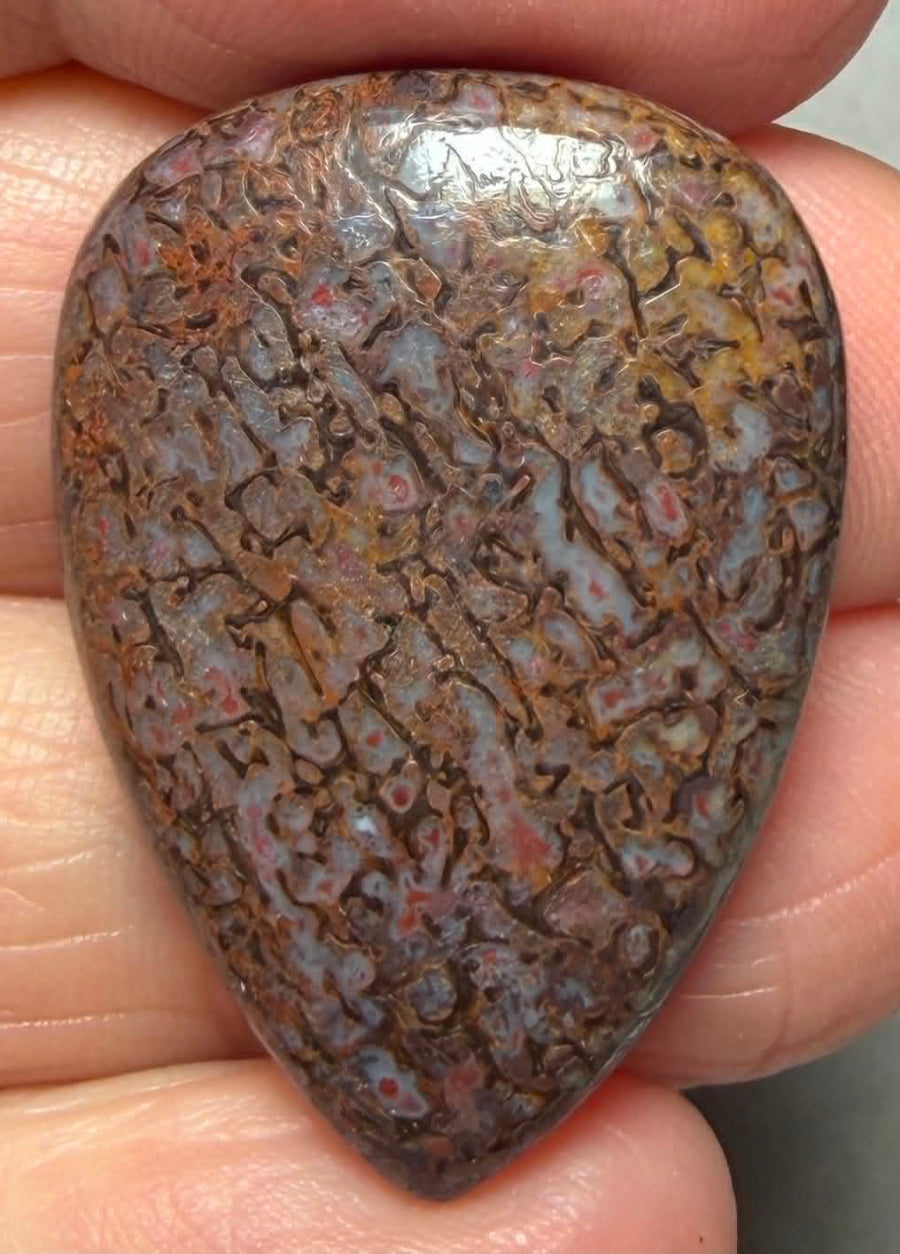 Teardrop 32x22mm Dinosaur Bone Cabochon 52