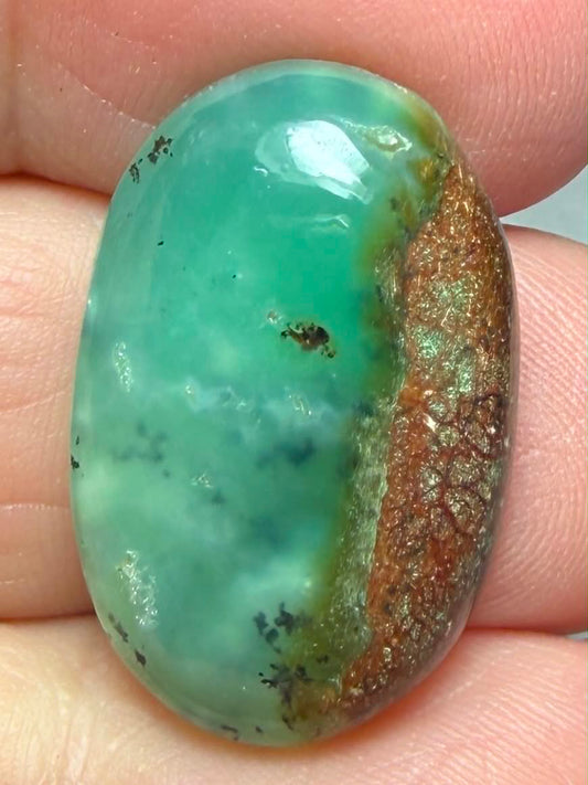 Oval 25x16mm Chrysoprase Cabochon 63