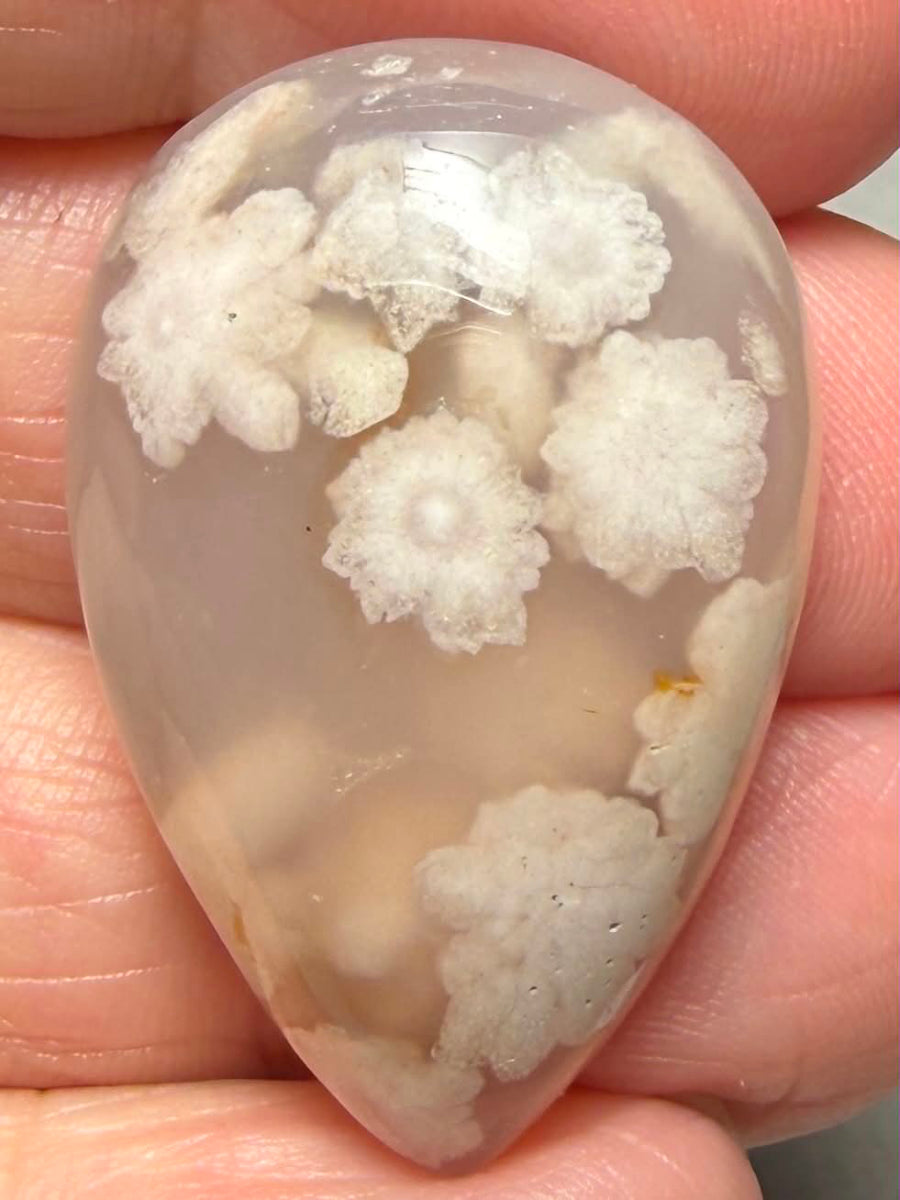 Teardrop 34x22mm Cherry Blossom Agate Cabochon 41