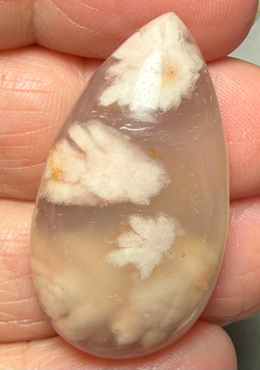 Teardrop 35x19mm Cherry Blossom Agate Cabochon 43