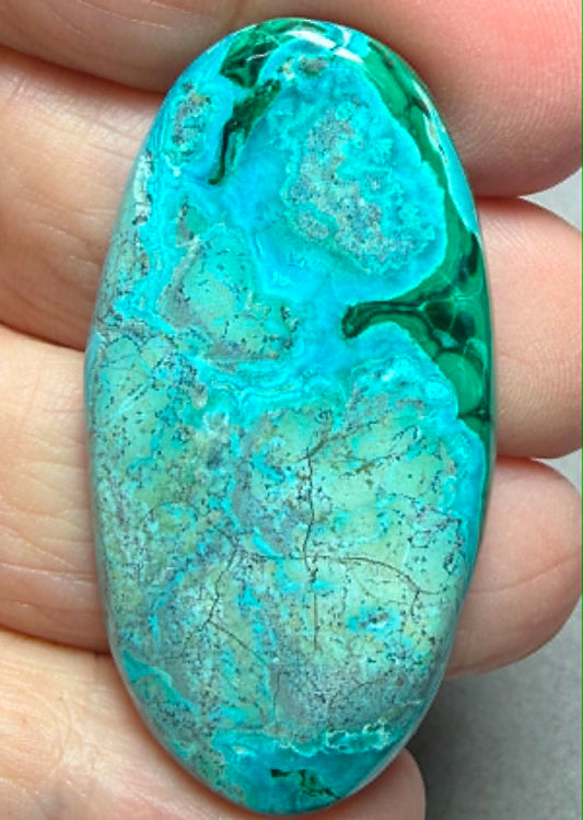 Oval 46x24mm Malacolla Cabochon 19