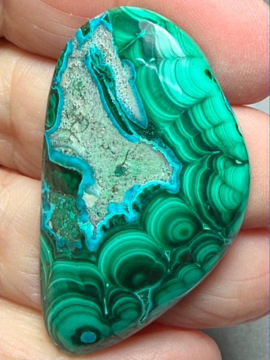 Freeform 48x28mm Malacolla Cabochon 21