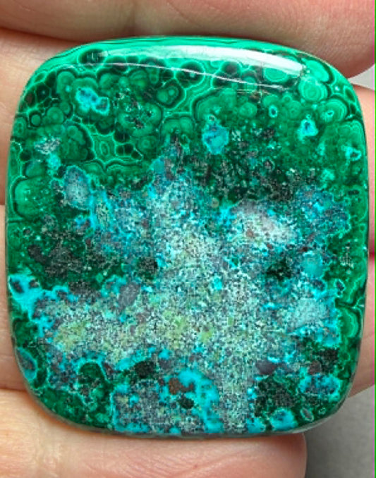 Rectangle 34x31mm Malacolla Cabochon 23