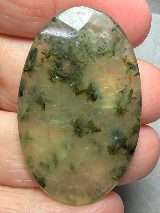 Oval 46x28mm Faceted Prehnite Cabochon 15