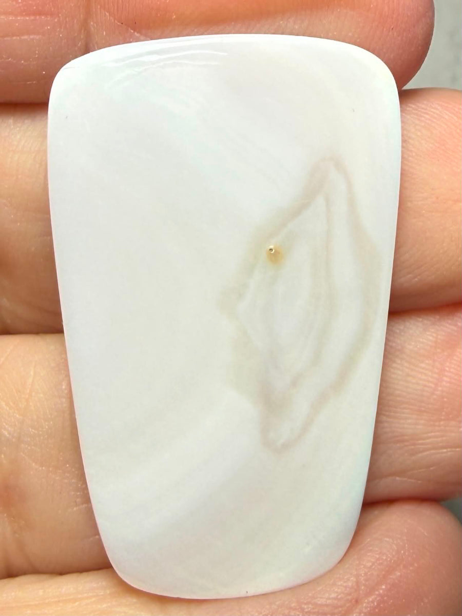 Freeform 38x23mm Mother of Pearl Cabochon 49