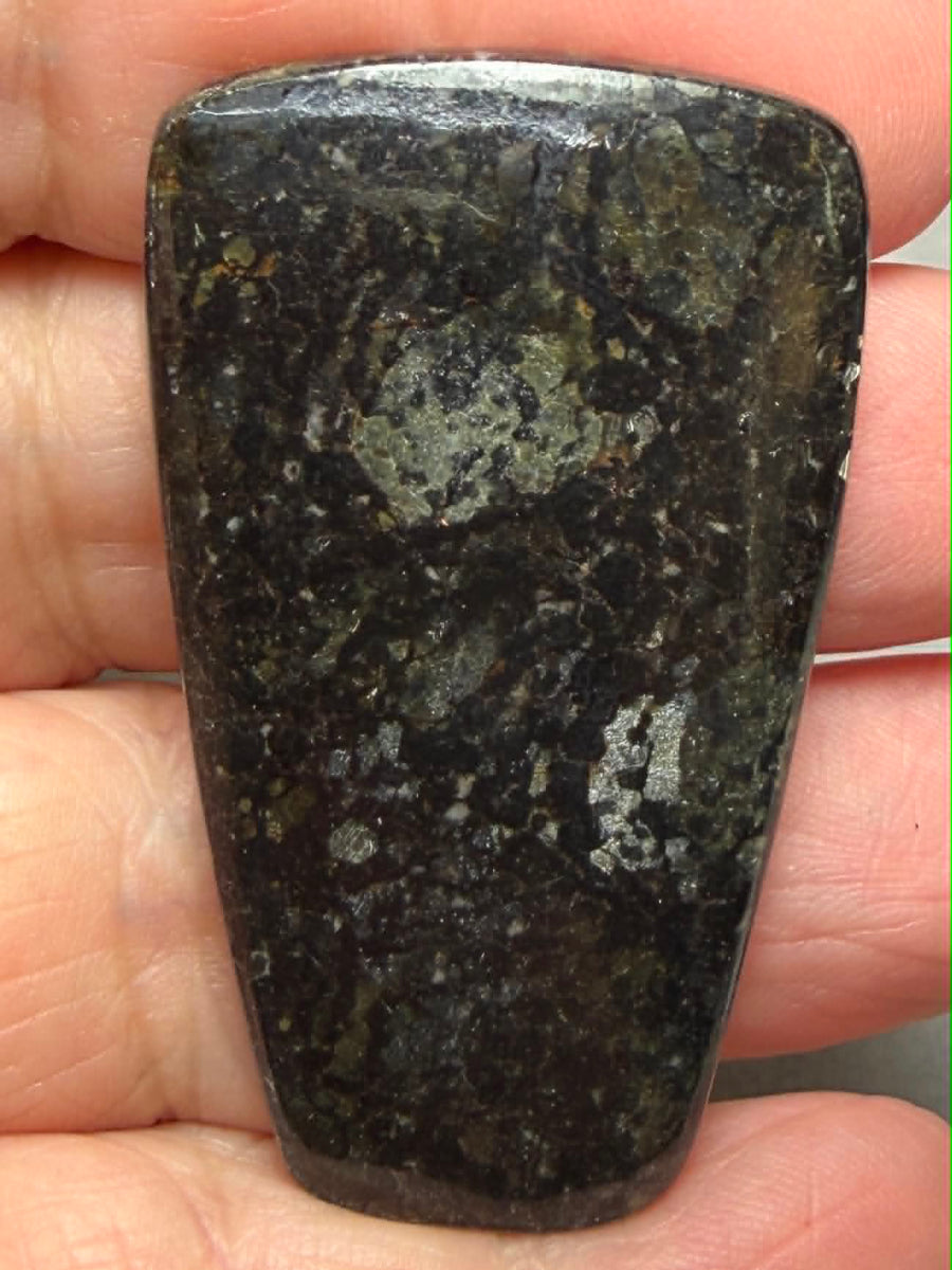 Freeform 49x29mm Nuummite Cabochon 36