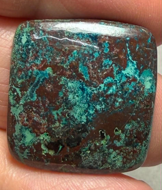 Square 23x23mm Shattuckite Cabochon 126