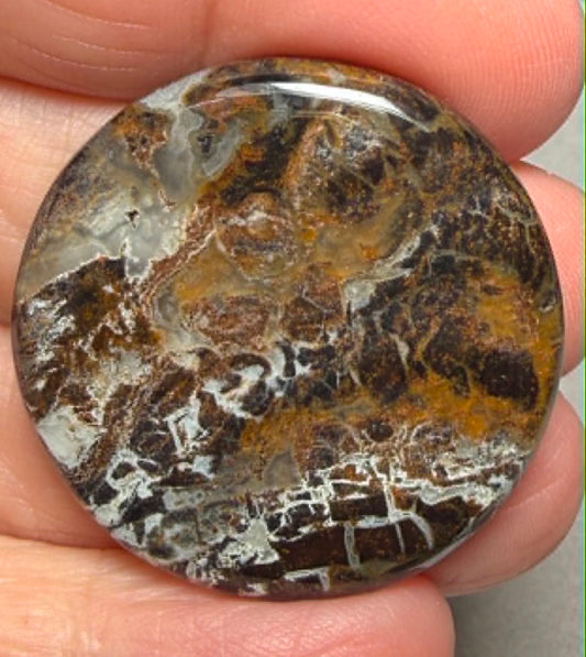 Round 33x33mm Snake Jasper Cabochon 19
