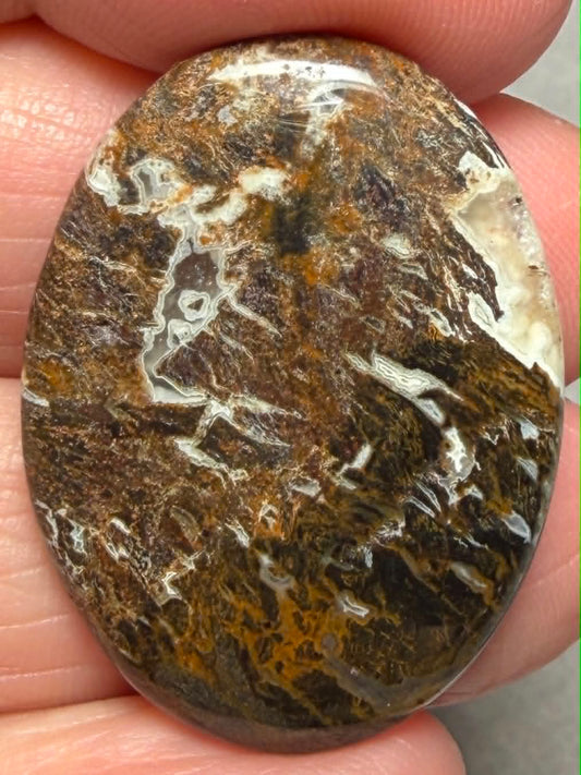 Oval 33x24mm Snake Jasper Cabochon 25