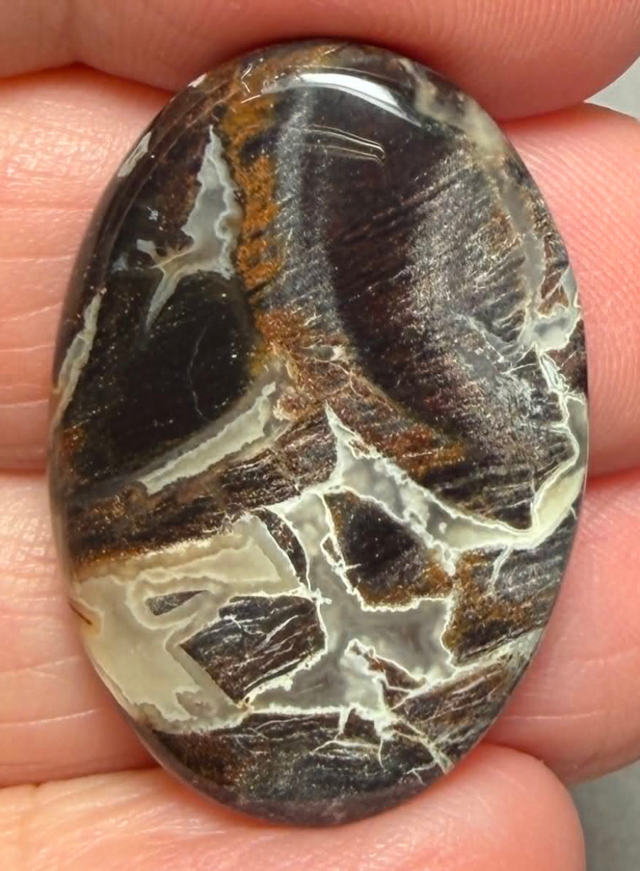 Oval 31x21mm Snake Jasper Cabochon 39