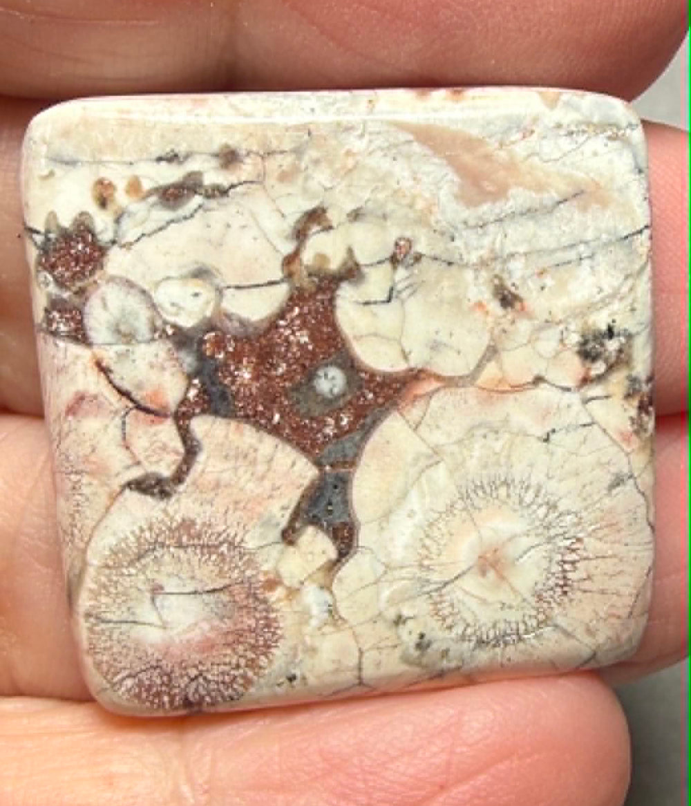 Square 29x29mm Birds Eye Jasper Cabochon 45